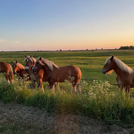 Motel Rovli Skærbæk