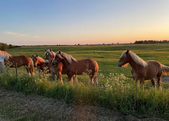 Motel Rovli Skærbæk